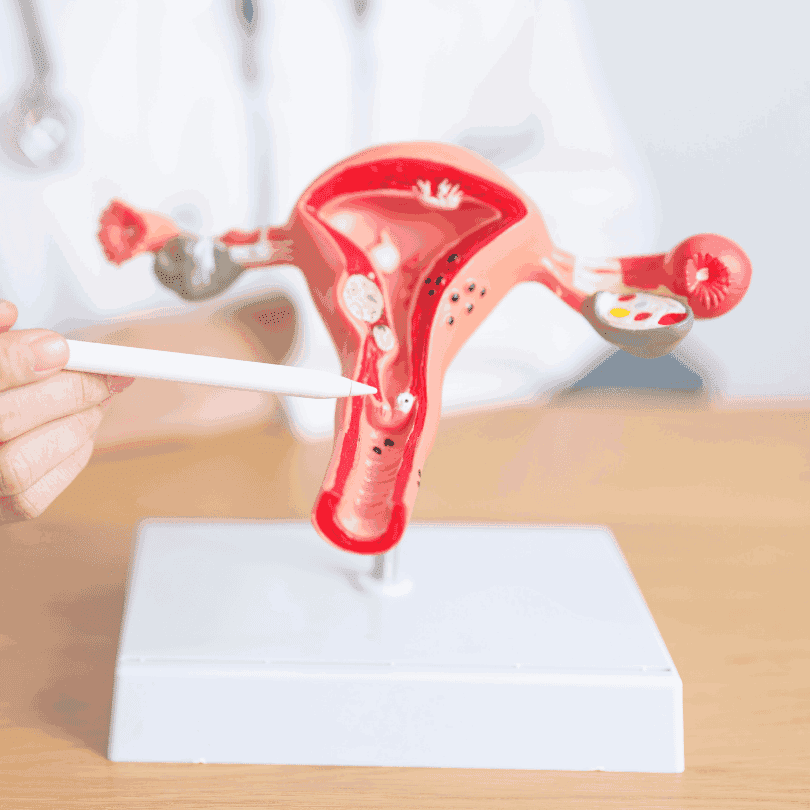 consulta-ginecológica